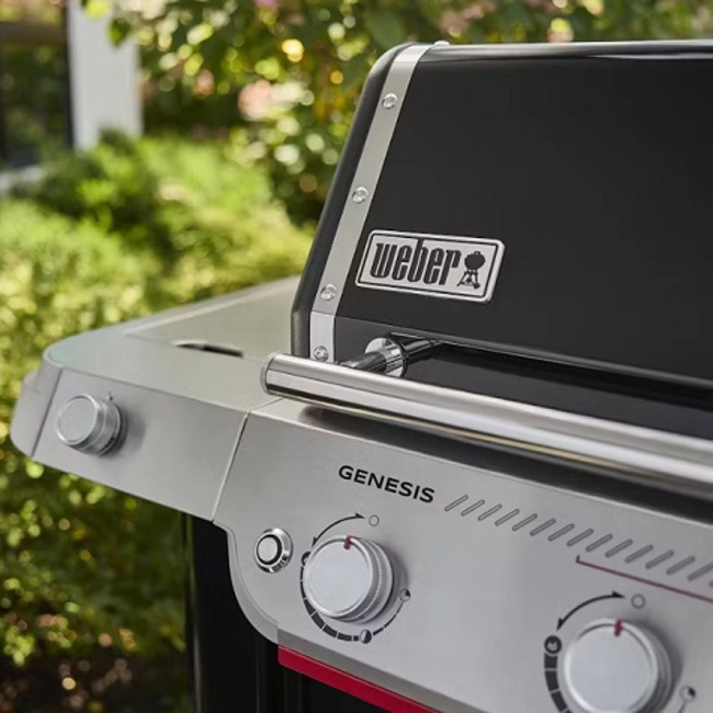 Vendita online Barbecue a gas Weber Genesis EP-335W